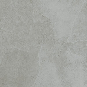 Gạch taicera 60×120 g12528jdd