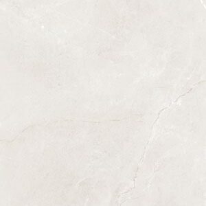 Gạch taicera 60×120 g12845