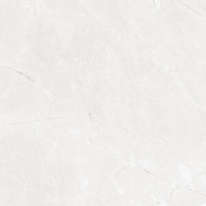 Gạch giả đá 40x80 cm 48SG12T