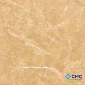 GẠCH LÁT VT 88003