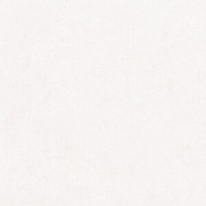 Gạch Porcelain kháng khuẩn 8080Bari001-h+