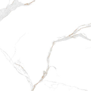 C61VW808/C81VW808/C88VW808