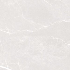 C61NS805/C81NS805/C88NS805