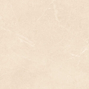SMM-36013